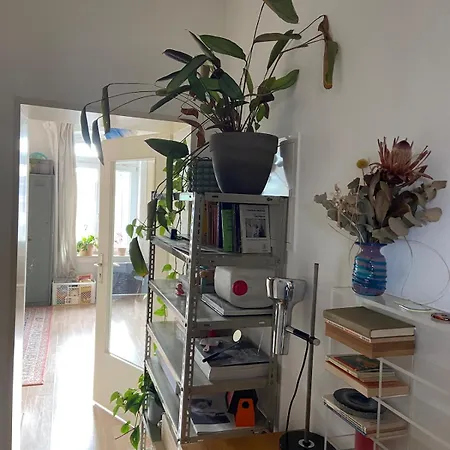 Apartman Bright Old Building Whole *