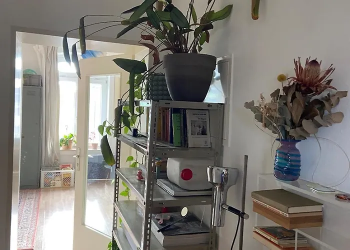 Apartment Bright Old Building Whole *