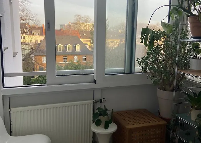 Apartment Bright Old Building Whole